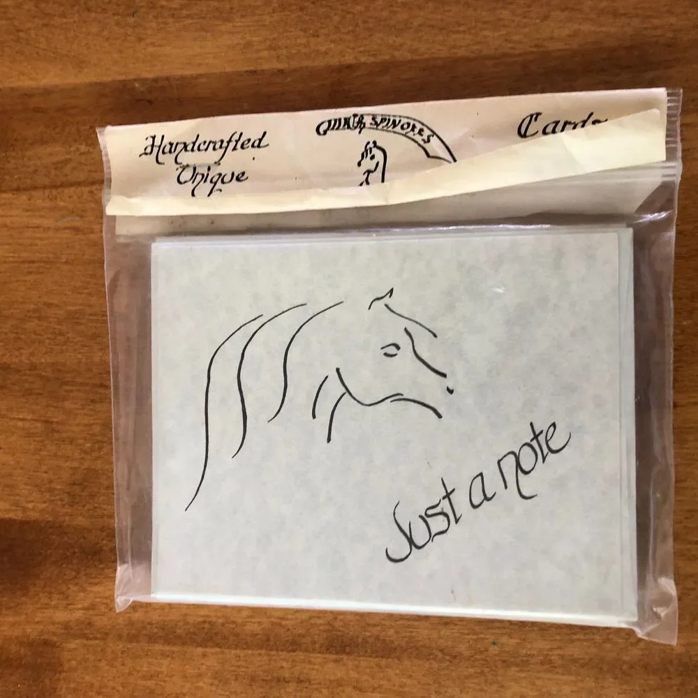 NEW Spinoffs Handcrafted Notecards Set of 10 Envelopes Horse Head Arabian
